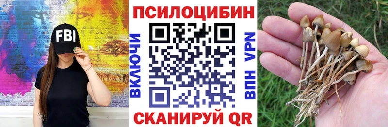 Купить где  Зеленокумск  Галлюциногенные грибы мухоморы 